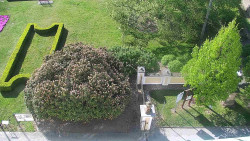 Veselíčko - zahrada u zámku