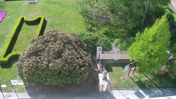 Veselíčko - zahrada u zámku