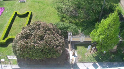 Veselíčko - zahrada u zámku