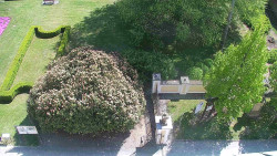 Veselíčko - zahrada u zámku