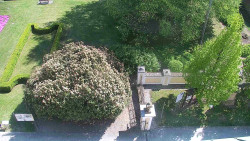 Veselíčko - zahrada u zámku