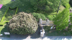 Veselíčko - zahrada u zámku