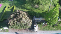 Veselíčko - zahrada u zámku