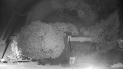 Veselíčko - zahrada u zámku