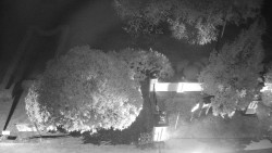 Veselíčko - zahrada u zámku