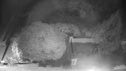 Veselíčko - zahrada u zámku