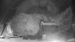 Veselíčko - zahrada u zámku