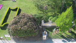 Veselíčko - zahrada u zámku