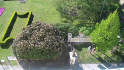 Veselíčko - zahrada u zámku