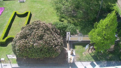 Veselíčko - zahrada u zámku