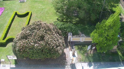 Veselíčko - zahrada u zámku