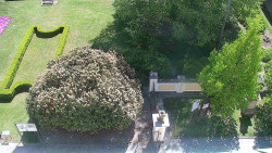 Veselíčko - zahrada u zámku