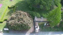 Veselíčko - zahrada u zámku