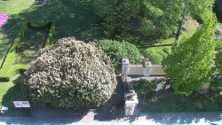 Veselíčko - zahrada u zámku