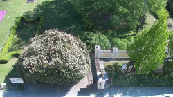 Veselíčko - zahrada u zámku