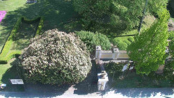 Veselíčko - zahrada u zámku