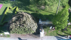 Veselíčko - zahrada u zámku