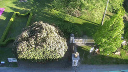 Veselíčko - zahrada u zámku