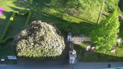 Veselíčko - zahrada u zámku