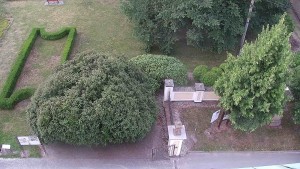 Municipality of Veselíčko - Veselíčko - the garden by the castle - 1.8.2026 v 05:30 Municipality of Veselíčko - Veselíčko - the garden by the castle - 1.8.2026 v 05:30