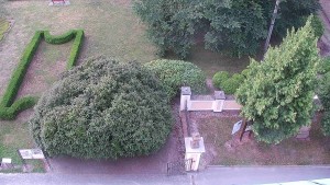 Municipality of Veselíčko - Veselíčko - the garden by the castle - 1.8.2026 v 06:30 Municipality of Veselíčko - Veselíčko - the garden by the castle - 1.8.2026 v 06:30