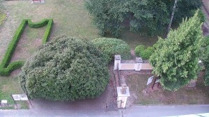 Municipality of Veselíčko - Veselíčko - the garden by the castle - 1.8.2026 v 07:30 Municipality of Veselíčko - Veselíčko - the garden by the castle - 1.8.2026 v 07:30