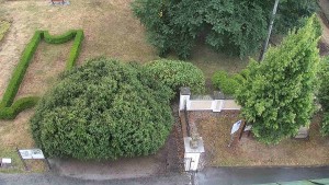Gemeinde Veselíčko - Veselíčko – der Garten beim Schloss - 17.8.2026 v 06:30 Gemeinde Veselíčko - Veselíčko – der Garten beim Schloss - 17.8.2026 v 06:30
