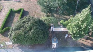 Gemeinde Veselíčko - Veselíčko – der Garten beim Schloss - 17.8.2026 v 07:30 Gemeinde Veselíčko - Veselíčko – der Garten beim Schloss - 17.8.2026 v 07:30