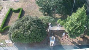 Gemeinde Veselíčko - Veselíčko – der Garten beim Schloss - 17.8.2026 v 08:30 Gemeinde Veselíčko - Veselíčko – der Garten beim Schloss - 17.8.2026 v 08:30