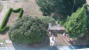 Gemeinde Veselíčko - Veselíčko – der Garten beim Schloss - 17.8.2026 v 09:30 Gemeinde Veselíčko - Veselíčko – der Garten beim Schloss - 17.8.2026 v 09:30