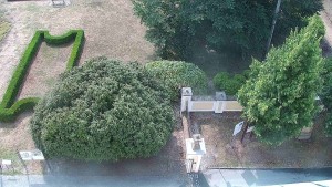 Gemeinde Veselíčko - Veselíčko – der Garten beim Schloss - 17.8.2026 v 10:30 Gemeinde Veselíčko - Veselíčko – der Garten beim Schloss - 17.8.2026 v 10:30