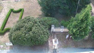 Gemeinde Veselíčko - Veselíčko – der Garten beim Schloss - 17.8.2026 v 11:30 Gemeinde Veselíčko - Veselíčko – der Garten beim Schloss - 17.8.2026 v 11:30