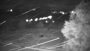 Obec Veselíčko - Veselíčko - park u zámku - 16.4.2024 v 04:00 Obec Veselíčko - Veselíčko - park u zámku - 16.4.2024 v 04:00