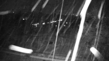 Snímek    3.11.2025 v 03:30