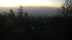 Veselíčko - park u zámku