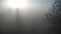 Veselíčko - park u zámku