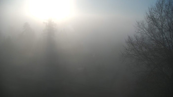 Snímek 5.11.2025 v 07:30