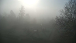 Veselíčko - park u zámku