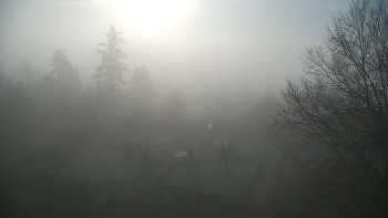 Snímek 5.11.2025 v 08:00