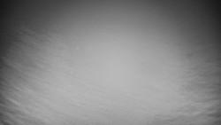 Veselíčko - park u zámku