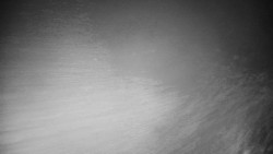 Veselíčko - park u zámku