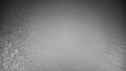 Veselíčko - park u zámku