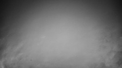 Veselíčko - park u zámku