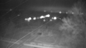 Obec Veselíčko - Veselíčko - park u zámku - 14.11.2025 v 00:00 Obec Veselíčko - Veselíčko - park u zámku - 14.11.2025 v 00:00