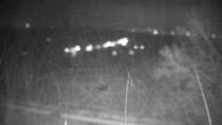 Veselíčko - park u zámku