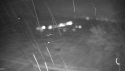 Veselíčko - park u zámku