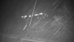 Veselíčko - park u zámku