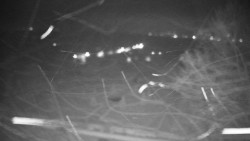 Veselíčko - park u zámku