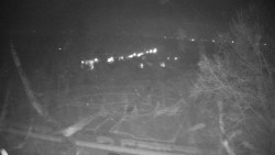 Veselíčko - park u zámku