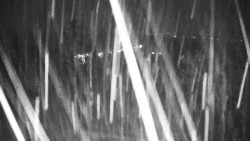 Veselíčko - park u zámku